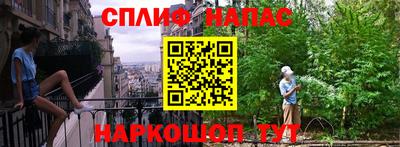 мяу мяу мука Будённовск