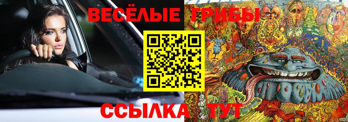 Псилоцибиновые грибы Cubensis Выкса